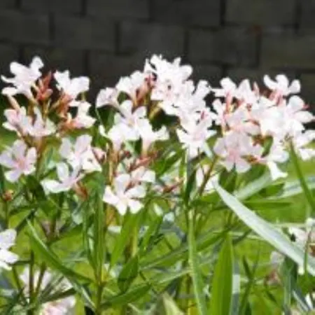 شقة Cozy And Calm *